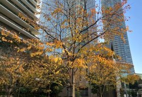 課長層向け　人間力実践型共通研修